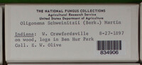 Image Associated With the Occurence